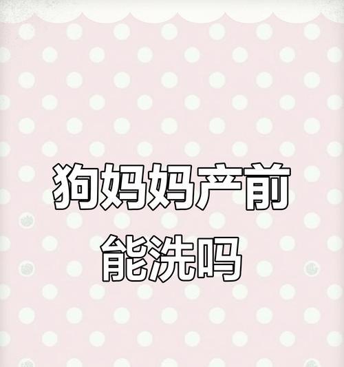 母狗产后洗澡时机与护理全攻略｜科学安排保护母犬幼犬健康