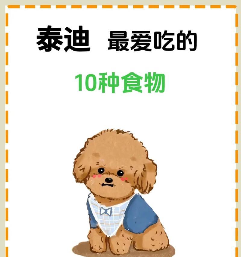 狗狗可以吃的人类食物全攻略｜安全与禁忌指南