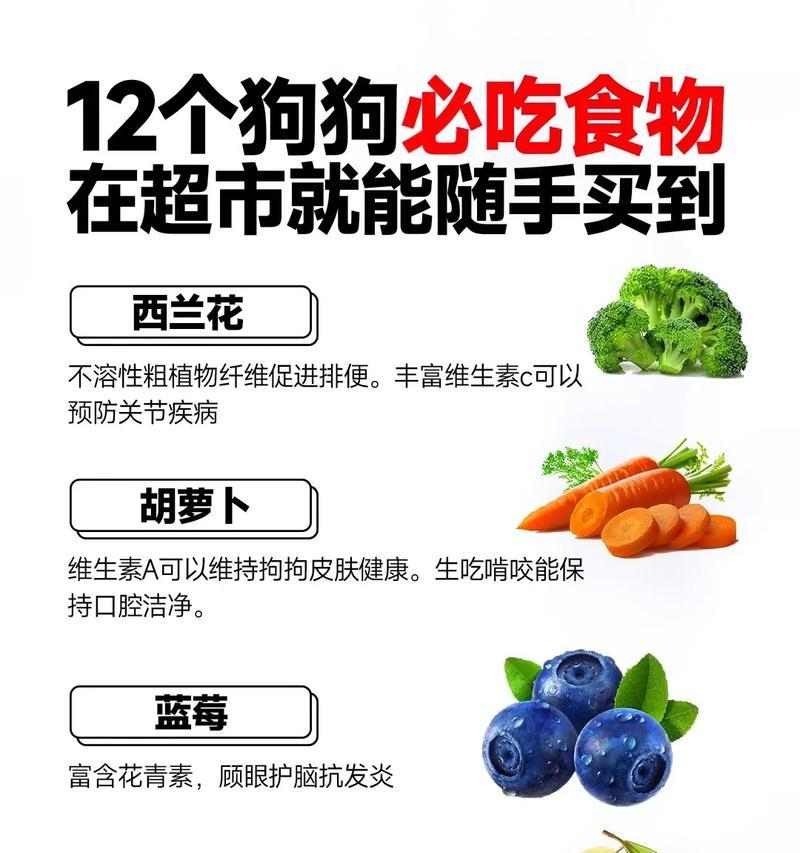 狗狗可以吃的人类食物全攻略｜安全与禁忌指南