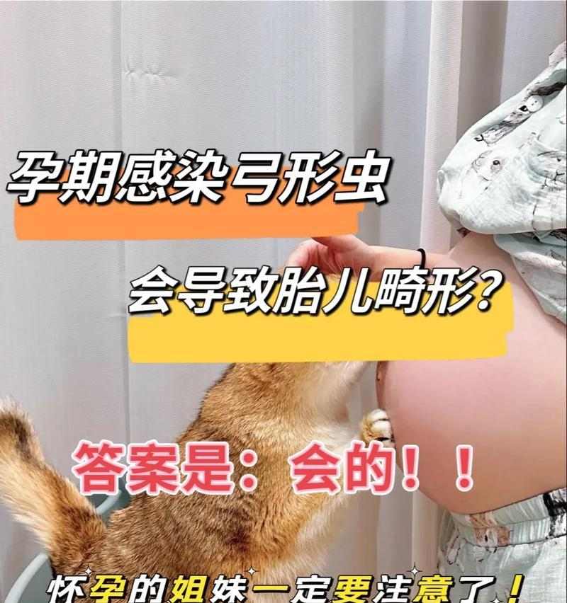 孕妇感染弓形虫的症状与防治方法，守护母婴健康