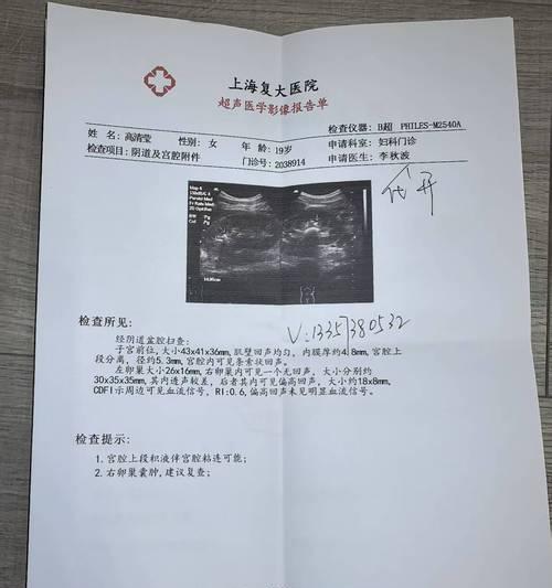 大狗月经周期全解析：从特征到健康管理，养狗必读