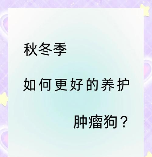 宠物狗感冒怎么办？三个有效措施助你帮狗狗快速恢复