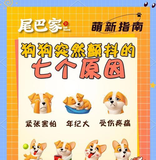 狗狗突然攻击人？揭秘背后原因与科学应对方法