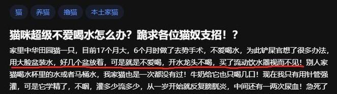 猫咪不爱喝水怎么办？揭秘原因与实用应对方法