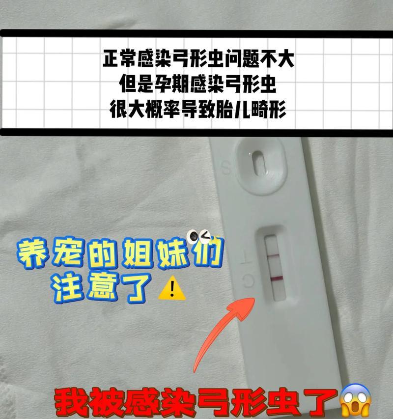 孕妇感染弓形虫的症状与防治方法，守护母婴健康