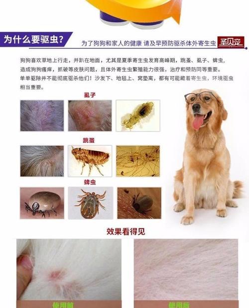 狗狗体外驱虫后多久洗脚全攻略