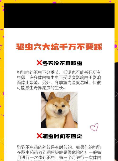 狗狗体外驱虫后多久洗脚全攻略