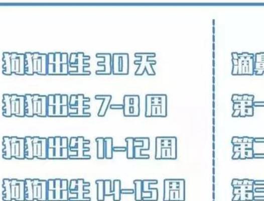 狗狗细小康复后多久打疫苗全攻略