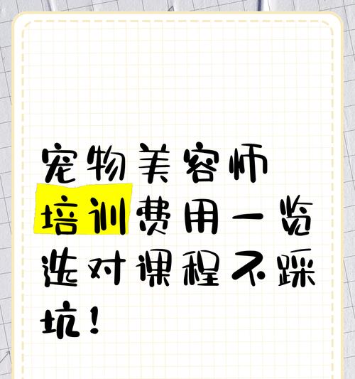 宠物美容师培训内容全解析|实用指南 宠物美容师培训内容全解析|实用指南