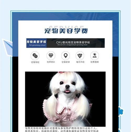 宠物美容师培训内容全解析|实用指南 宠物美容师培训内容全解析|实用指南