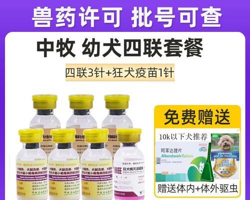 狗狗细小康复后多久打疫苗全攻略