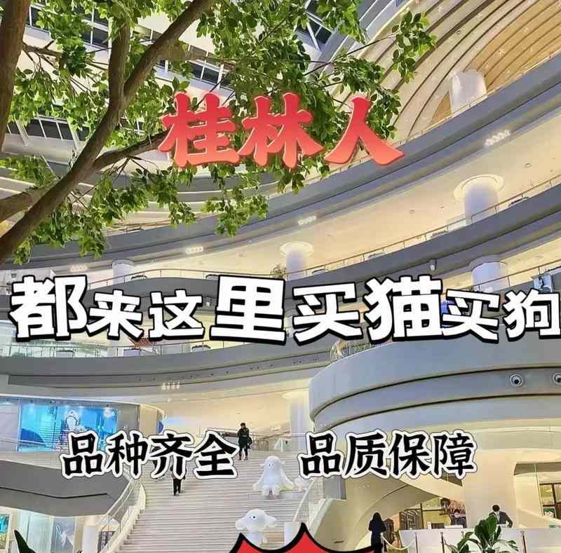桂林犬舍全攻略:品味独特魅力与温暖关怀 桂林犬舍全攻略:品味独特魅力与温暖关怀