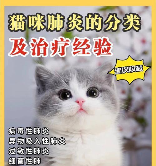 猫咪肺炎痊愈时间及关键因素全攻略
