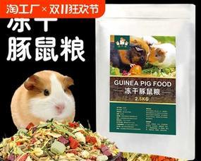 荷兰猪的营养价值与健康益处全攻略