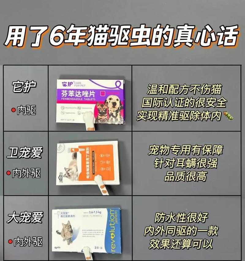 幼猫驱虫指南合适驱虫药选择全攻略