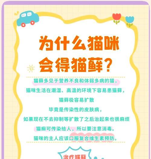 猫藓治疗时间与方法全攻略