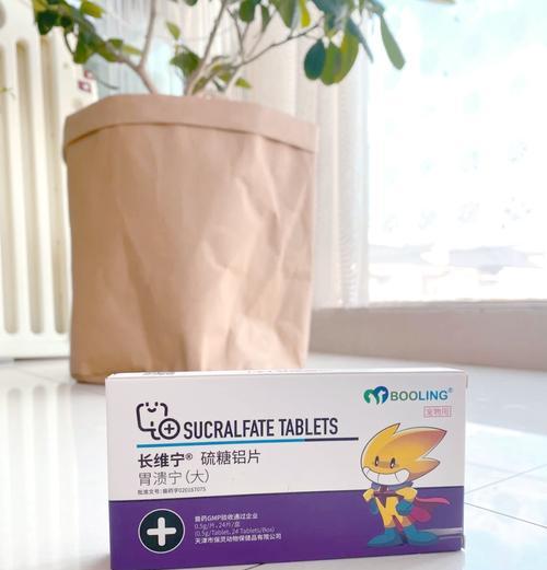 柯基肠胃炎多久能好 影响康复时间的关键因素解析