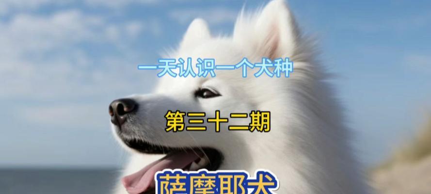 养护知识