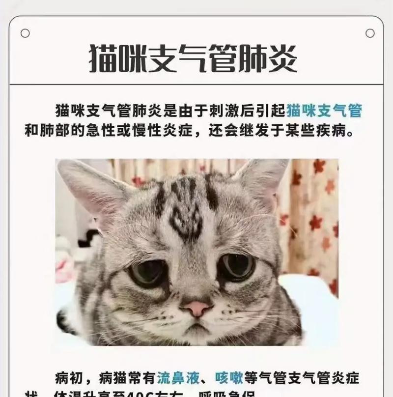 猫咪肺炎多久能治愈？影响康复时间的关键因素解析
