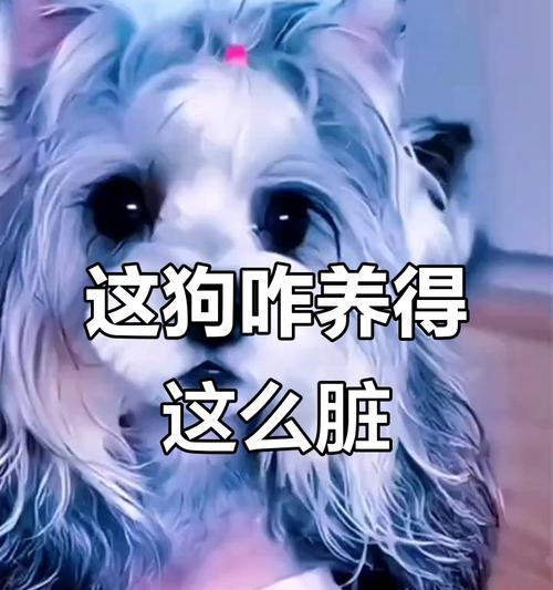 养护知识
