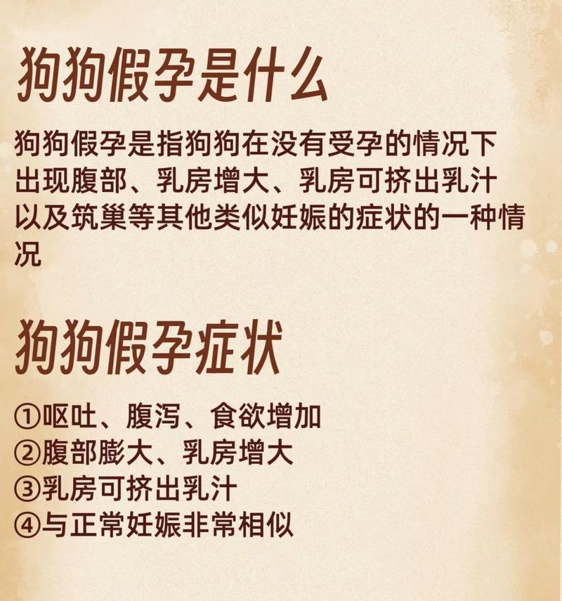 如何分辨狗狗真假怀孕：15个判断方法和护理要点