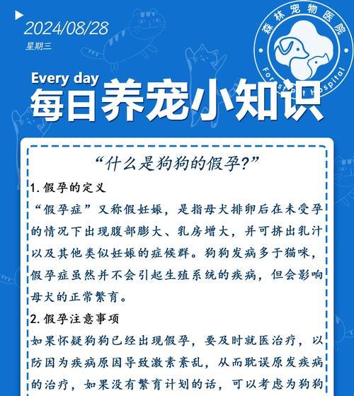 如何分辨狗狗真假怀孕：15个判断方法和护理要点