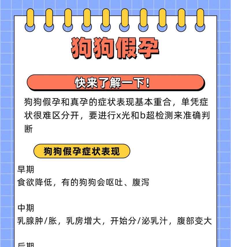 如何分辨狗狗真假怀孕：15个判断方法和护理要点