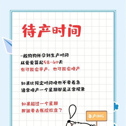 狗狗怀孕到生产全过程详解：妊娠分娩哺乳期护理指南