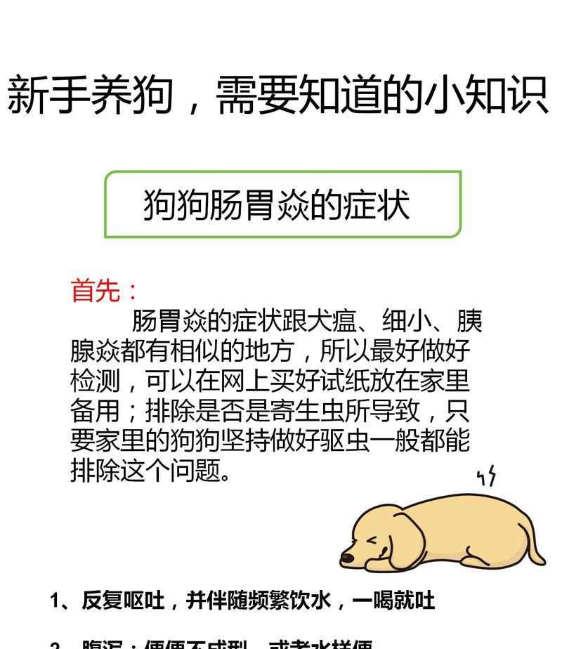 养护知识