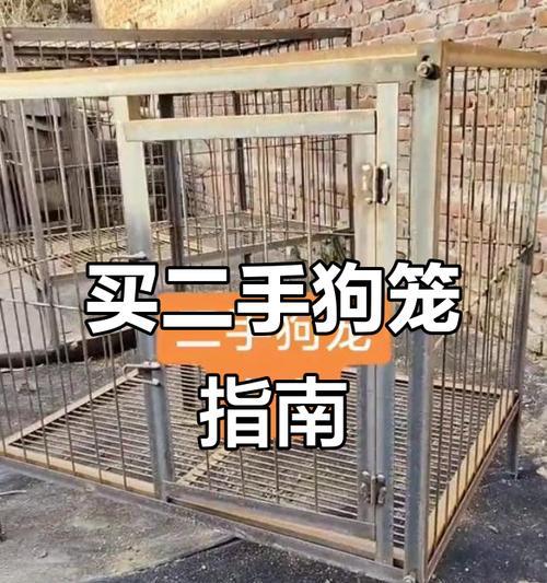 养护知识