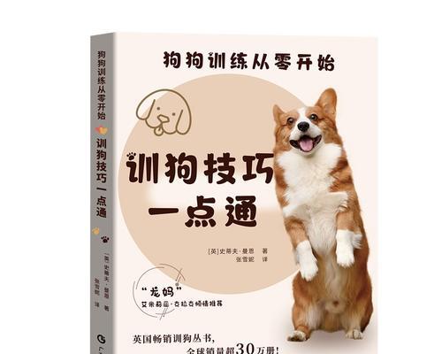 犬的基础训练方法及技巧:培养良好行为习惯全攻略 犬的基础训练方法及技巧:培养良好行为习惯全攻略