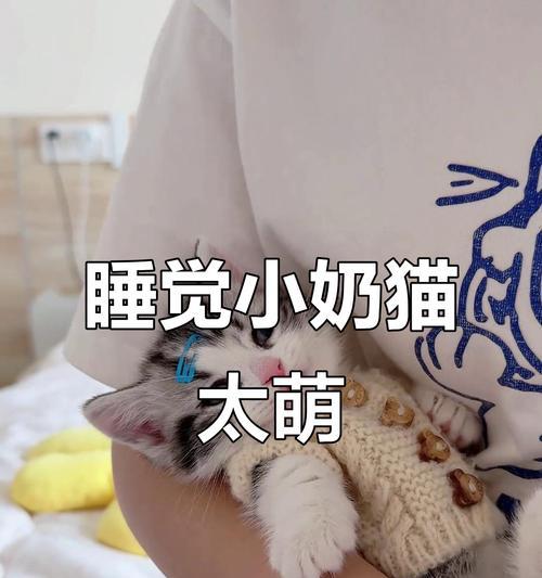 养护知识