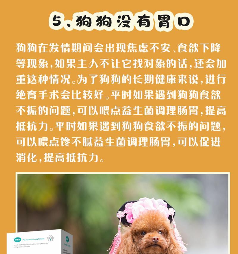 母狗遗忘小狗时间解析｜情感连结与记忆保持全攻略