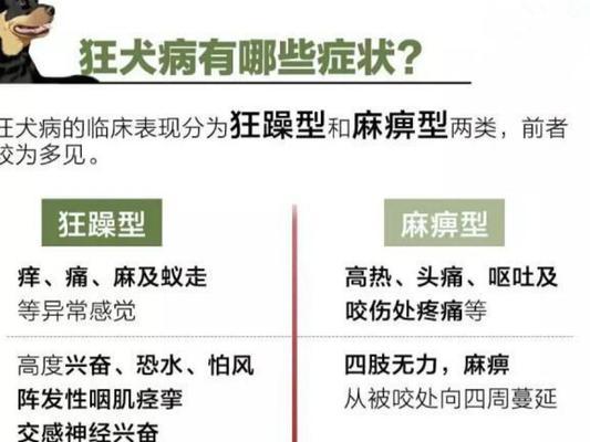 养护知识