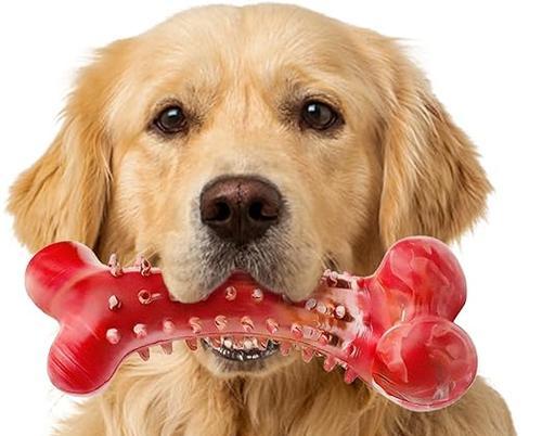 狗牙齿咀嚼习惯与口腔健康影响全攻略