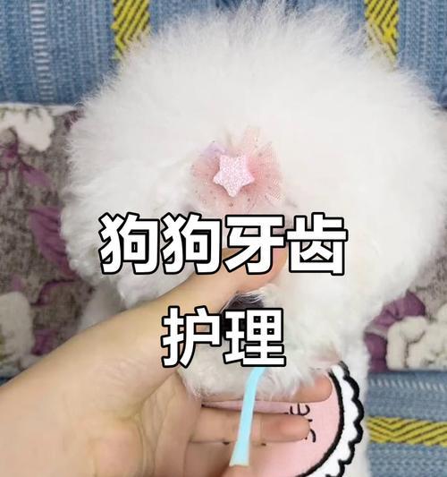 狗牙齿咀嚼习惯与口腔健康影响全攻略