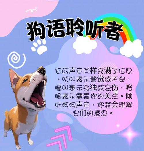 读懂狗狗情绪与肢体语言｜深度沟通实用指南
