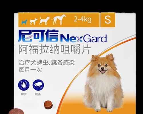 泰迪犬健康必备药品全解析 泰迪犬健康必备药品全解析