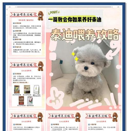 泰迪犬健康必备药品全解析 泰迪犬健康必备药品全解析