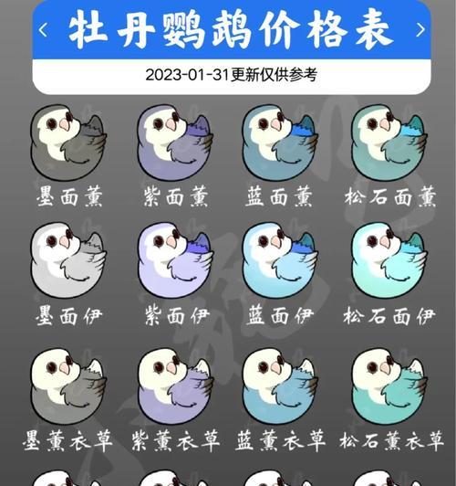 牡丹鹦鹉价格高昂的十大因素解析 牡丹鹦鹉价格高昂的十大因素解析