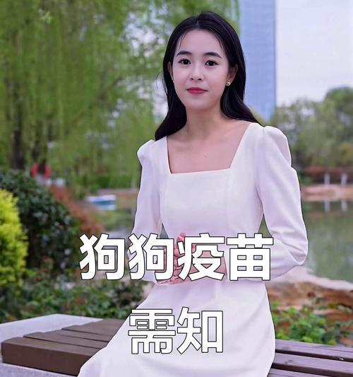 狗狗接种疫苗后什么时间能出门 详解注意事项与健康保护 狗狗接种疫苗后什么时间能出门 详解注意事项与健康保护