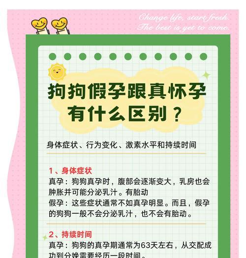 母狗假孕的症状和疗程（了解假孕对母狗的影响及如何处理）