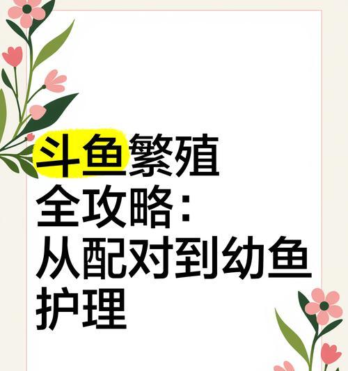 斗鱼卵的孵化技巧与小鱼饲养指南