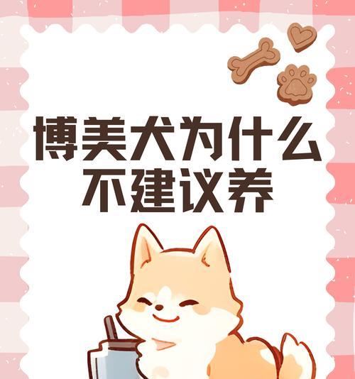 博美犬价格八大关键影响因素全解析