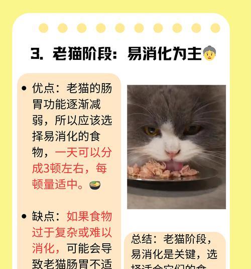 猫咪便秘如何科学使用益生菌
