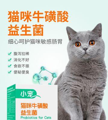 猫咪便秘如何科学使用益生菌