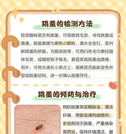 怎样有效清除小猫身上的跳蚤(20天养猫,跳蚤不再困扰/跳蚤侵扰小猫,该怎么办?) 怎样有效清除小猫身上的跳蚤(20天养猫,跳蚤不再困扰/跳蚤侵扰小猫,该怎么办?)