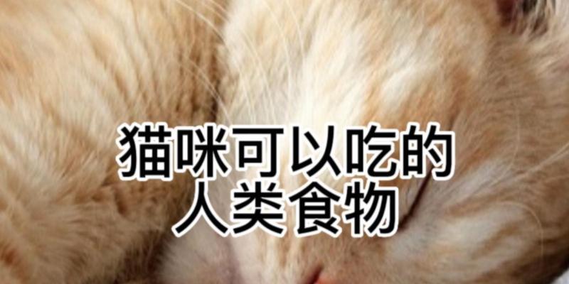 猫咪是否能吃人类食物？（探究猫咪吃人类食物的反应）