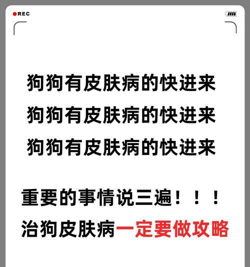 狗狗常见问题解决方案：全方位护理的15个关键点