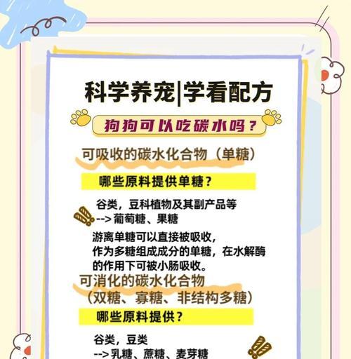 狗狗常见问题解决方案：全方位护理的15个关键点